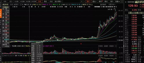 2019年，你可能錯(cuò)過的十大牛股 軟件外包服務(wù)篇